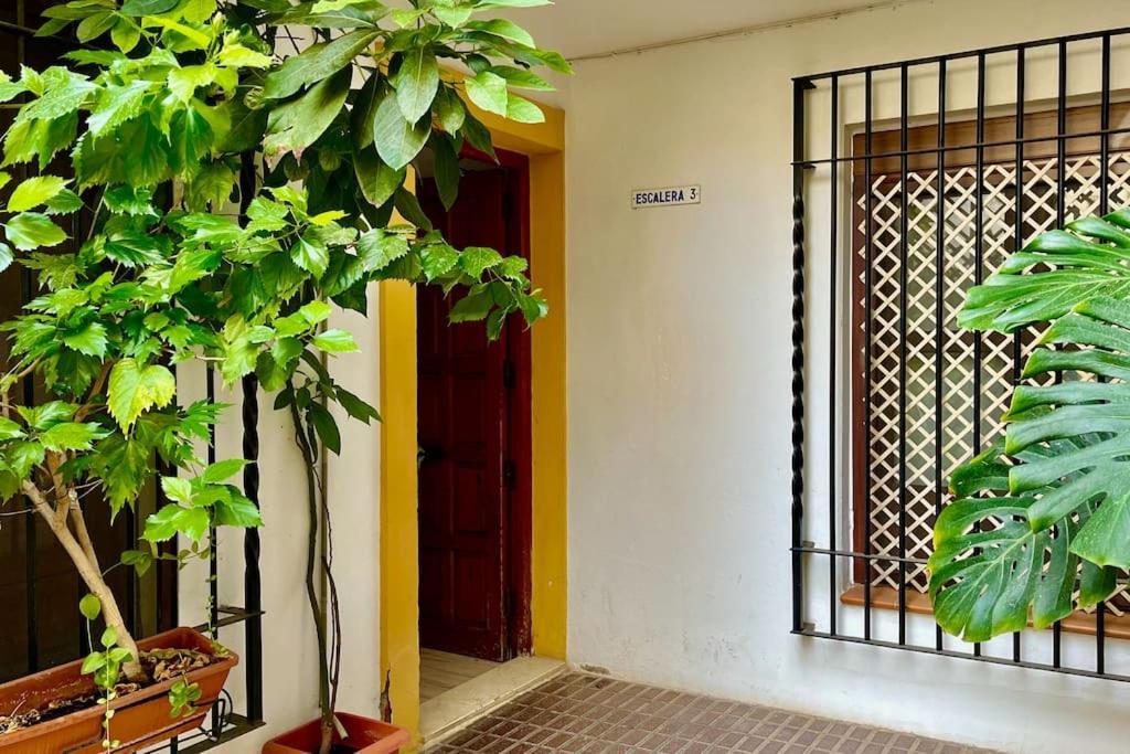 Apartamento Kenza Cordoba Exterior photo